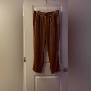 Madewell Velvet Jogger Pants (M)